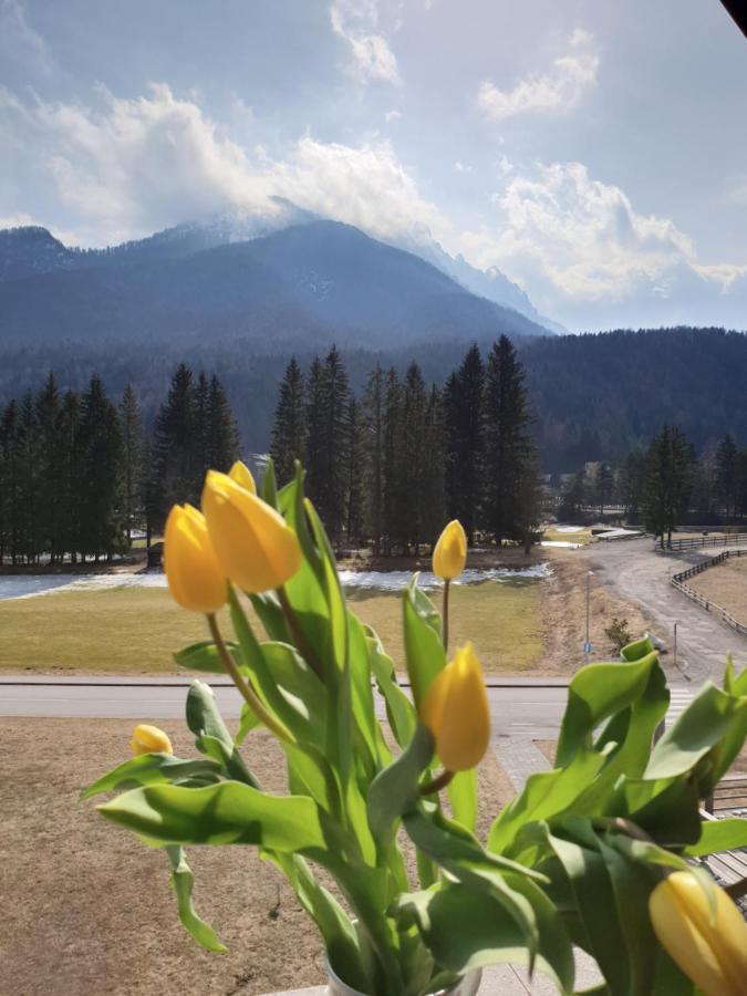Apartma Kurji Vrh - Chicken Top Kranjska Gora Kültér fotó