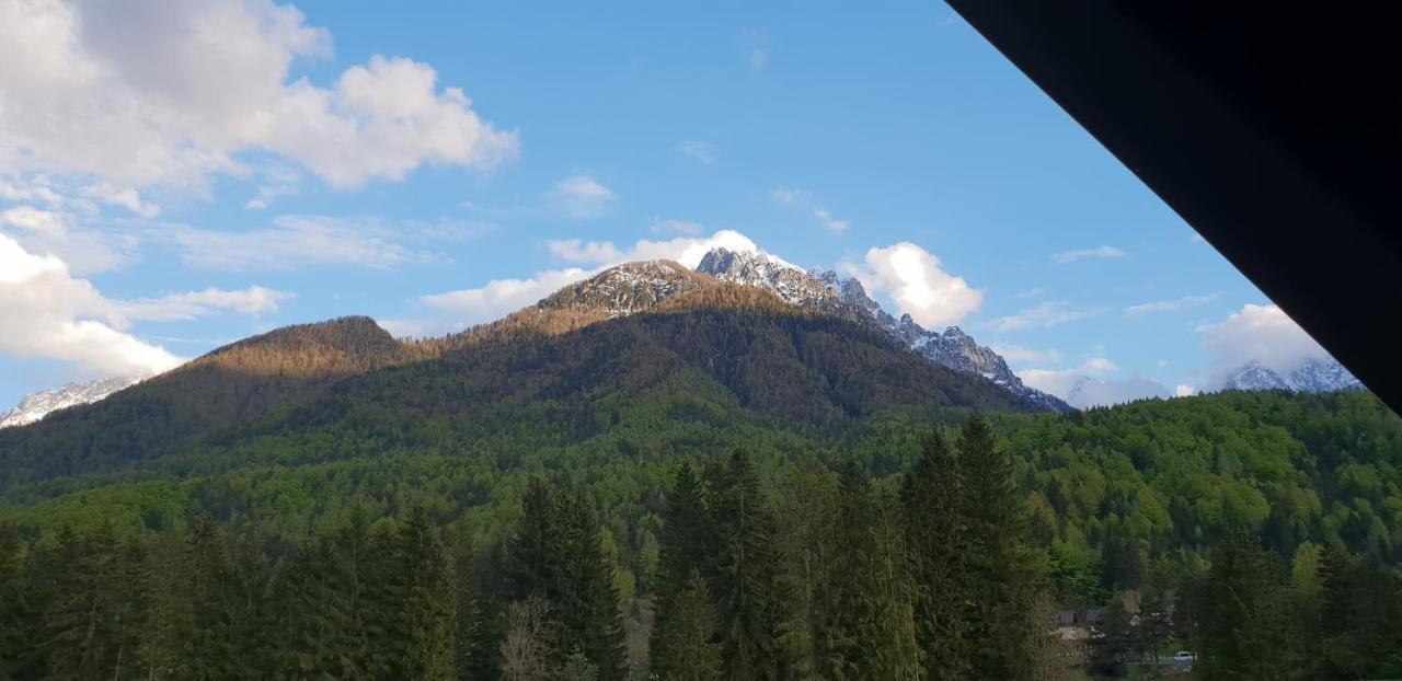 Apartma Kurji Vrh - Chicken Top Kranjska Gora Kültér fotó